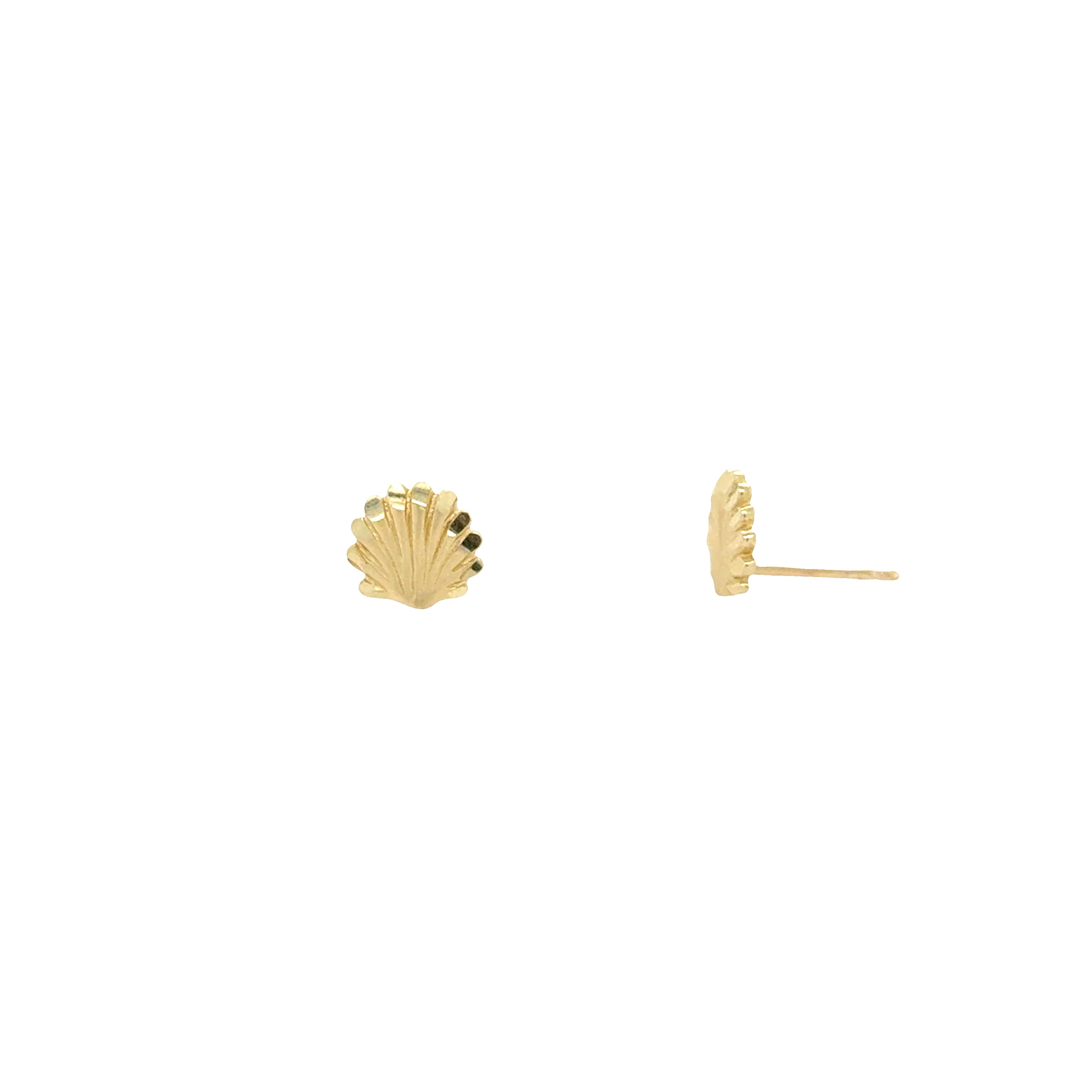10K Gold Sea Shell Stud Earrings