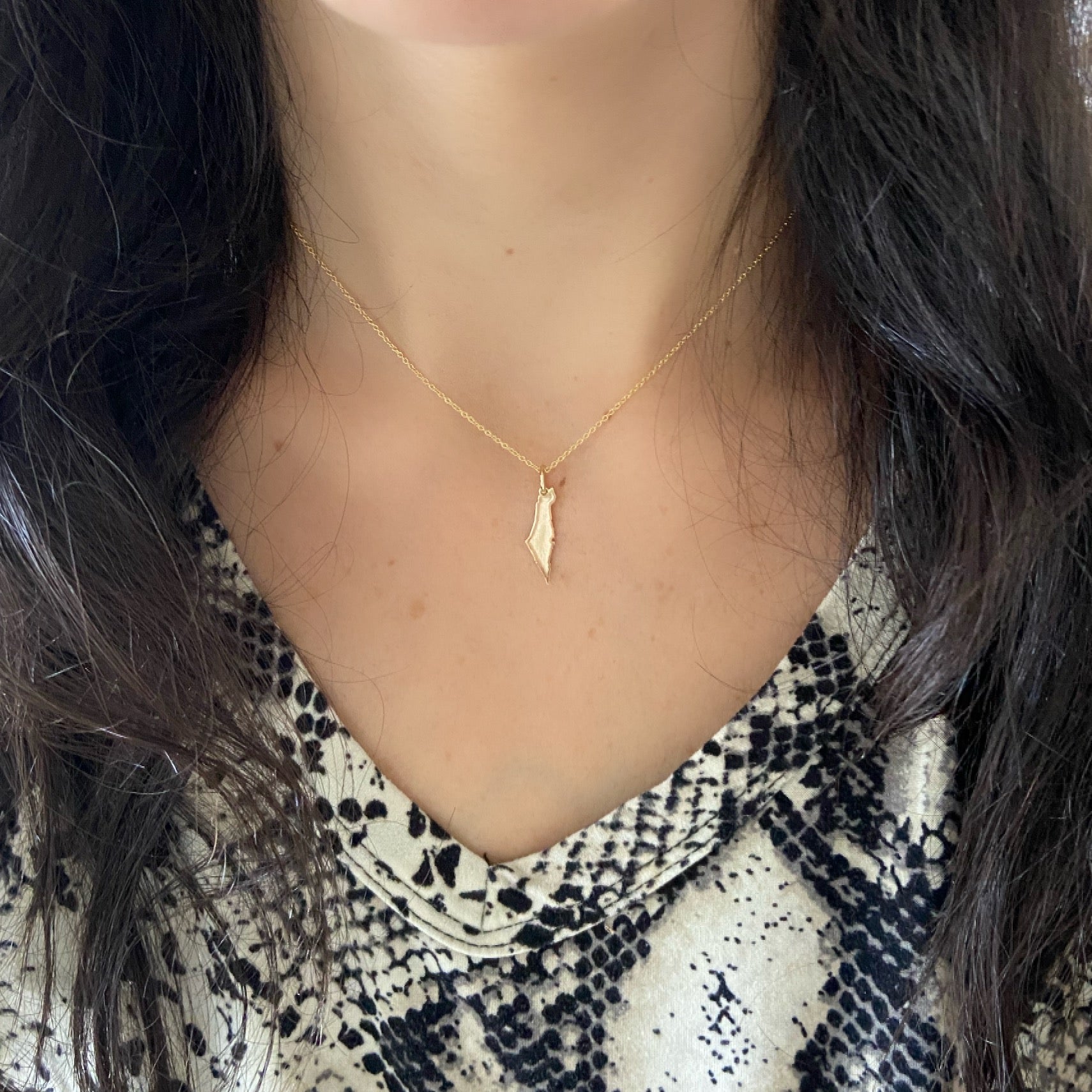 Gold Map of Israel Charm