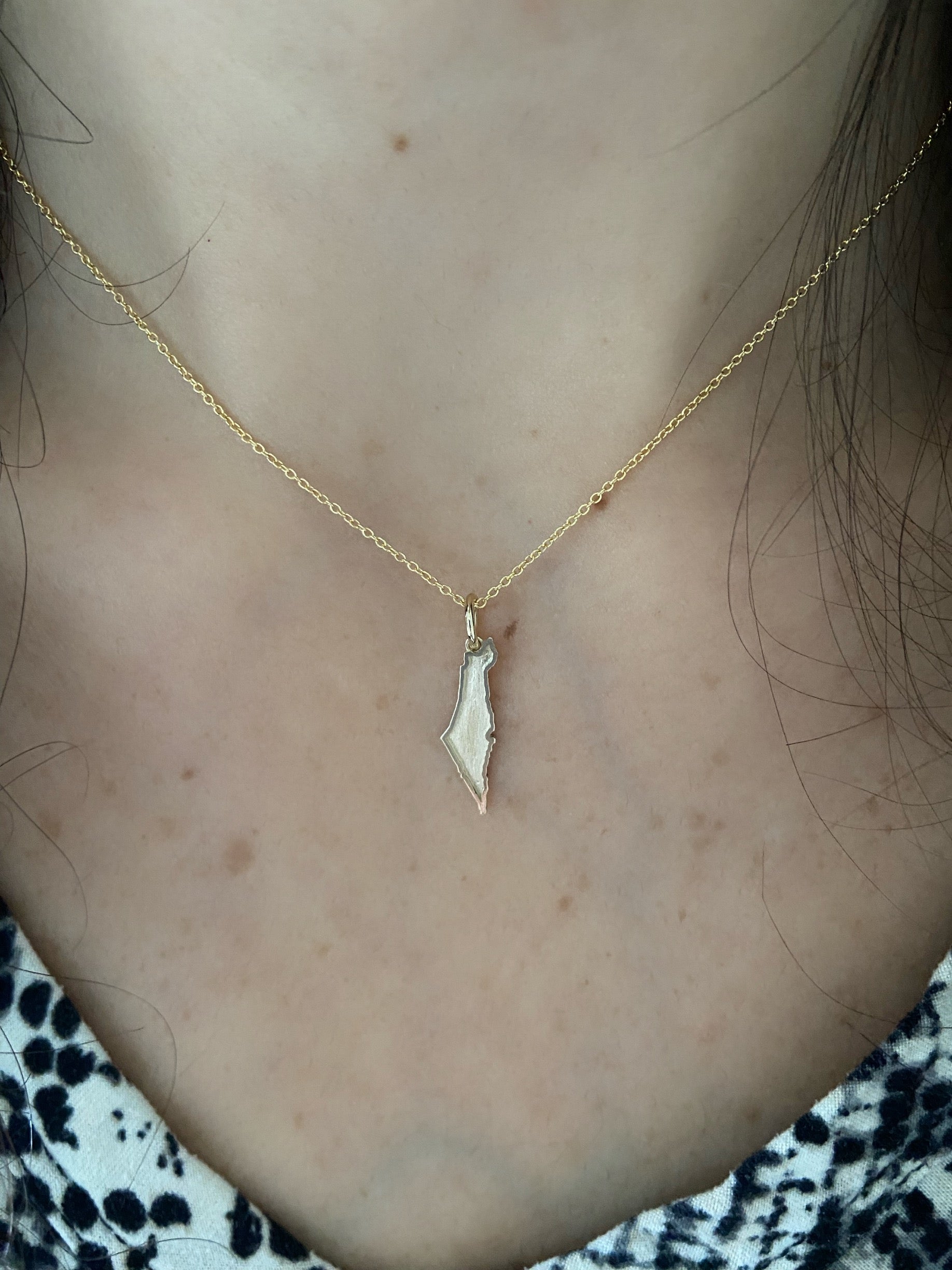 Gold Map of Israel Charm