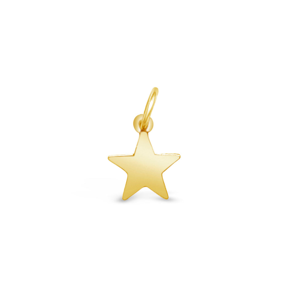 10K Gold Petite Star Charm
